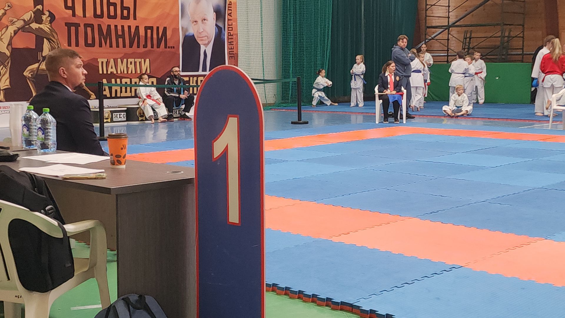 электросталь, электросталь спортивная, мой город, жители города, турнир, турнир по карате, турнир памяти, каратэ, каратэ-до,