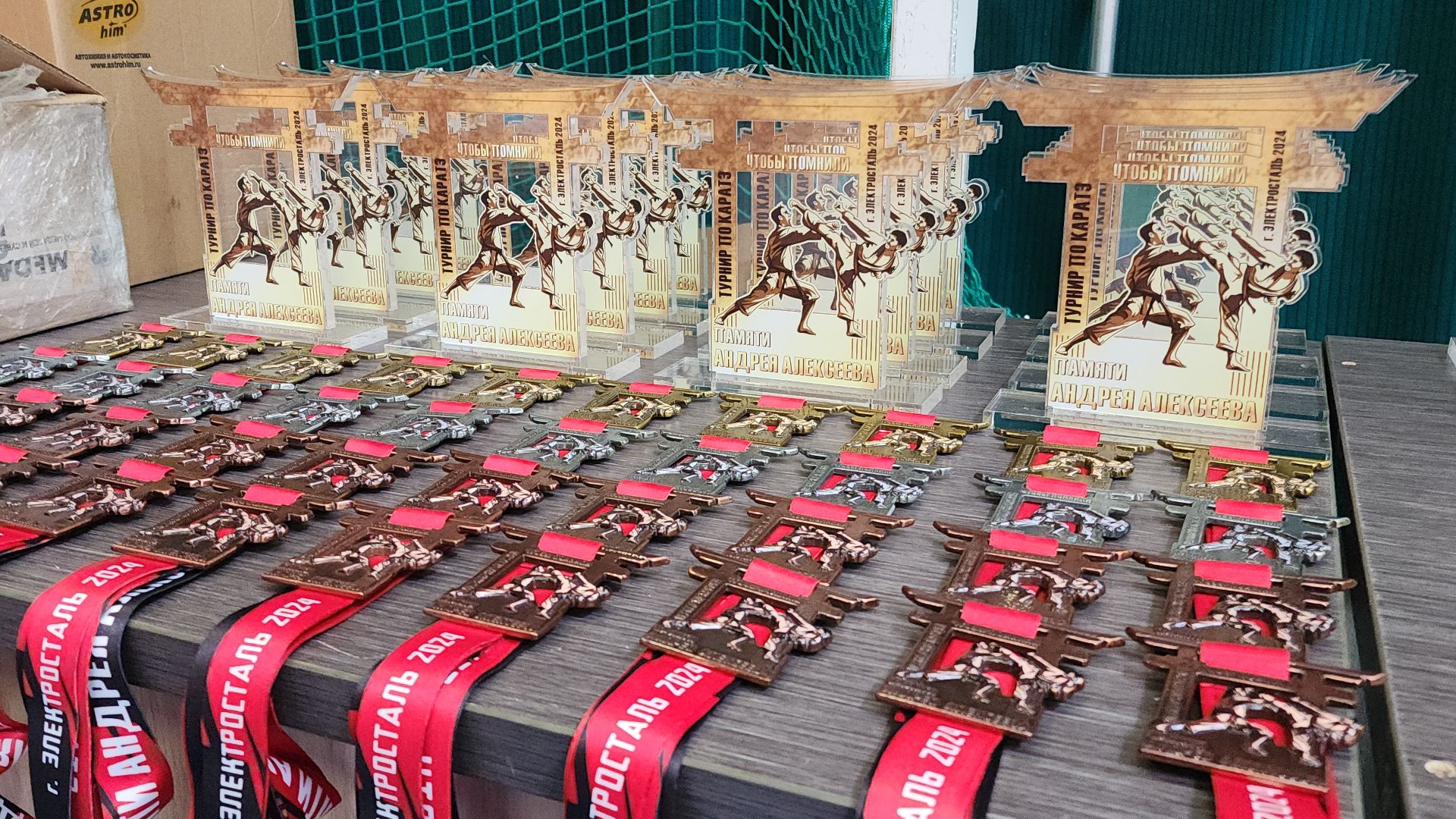 электросталь, электросталь спортивная, мой город, жители города, турнир, турнир по карате, турнир памяти, каратэ, каратэ-до,