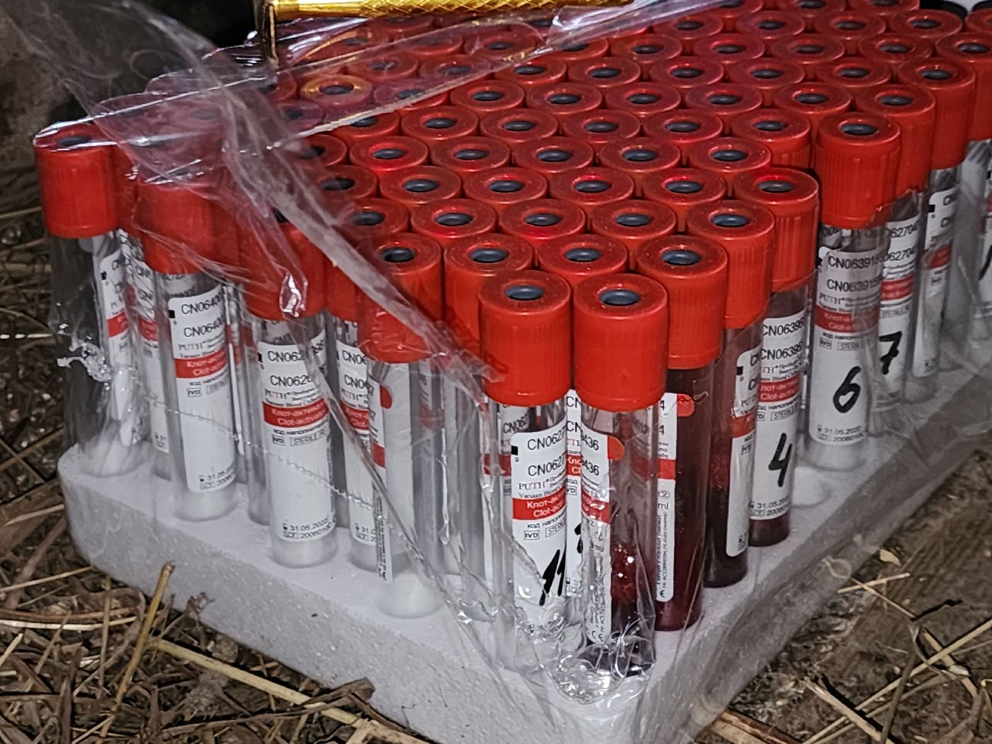 сельское хозяйство, коровы, ферма, орешки, ветеринарная станция, руза, рузский городской округ,