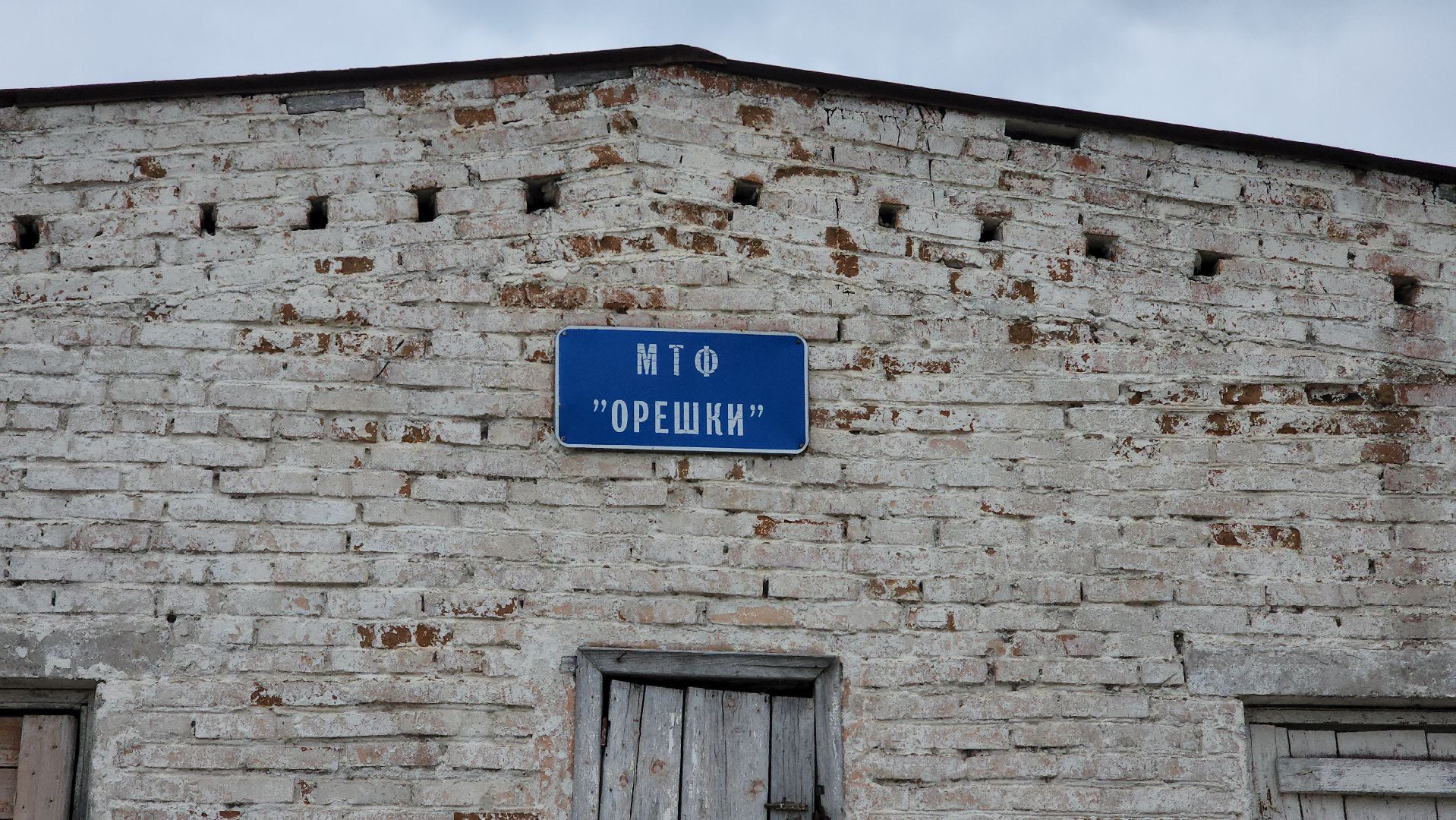 сельское хозяйство, коровы, ферма, орешки, ветеринарная станция, руза, рузский городской округ,