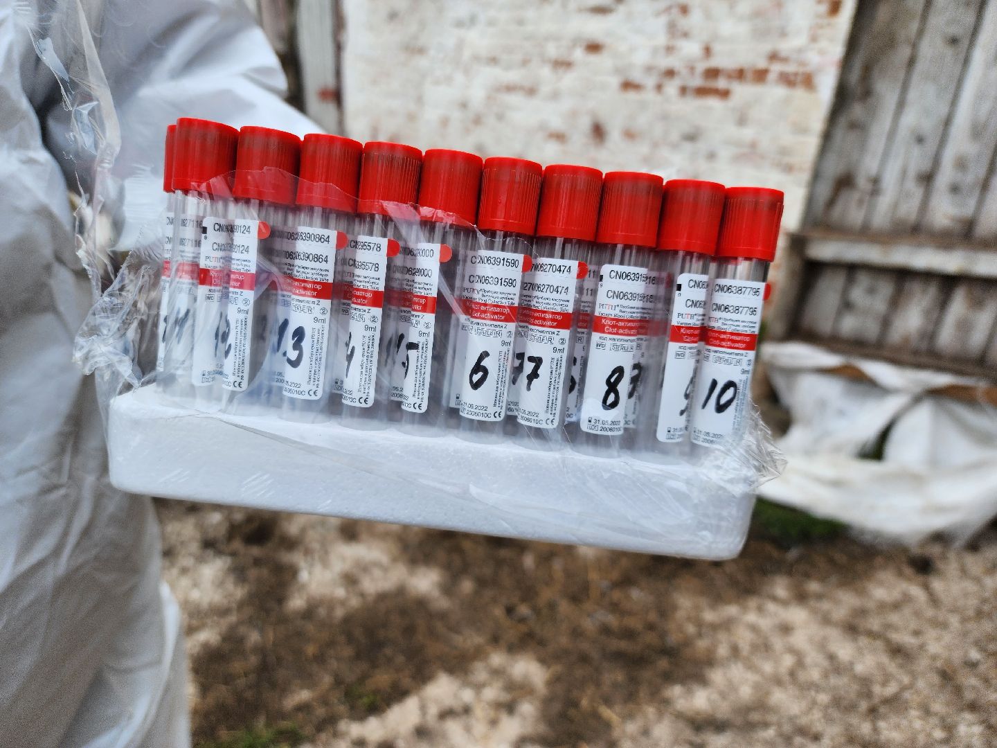 сельское хозяйство, коровы, ферма, орешки, ветеринарная станция, руза, рузский городской округ,