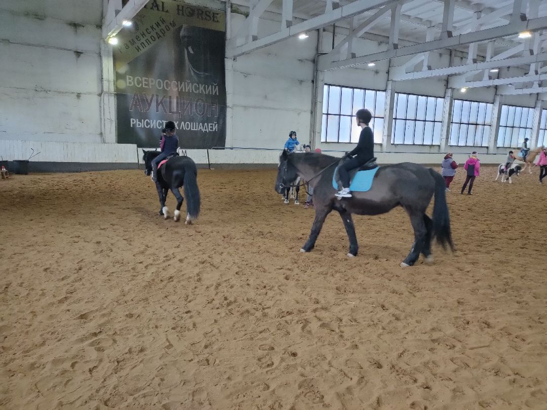 Раменское, общество