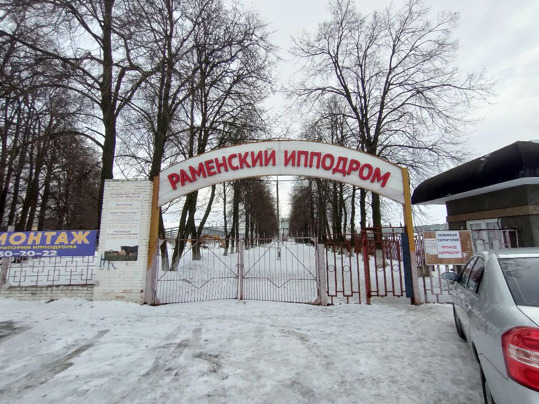 Раменское, общество