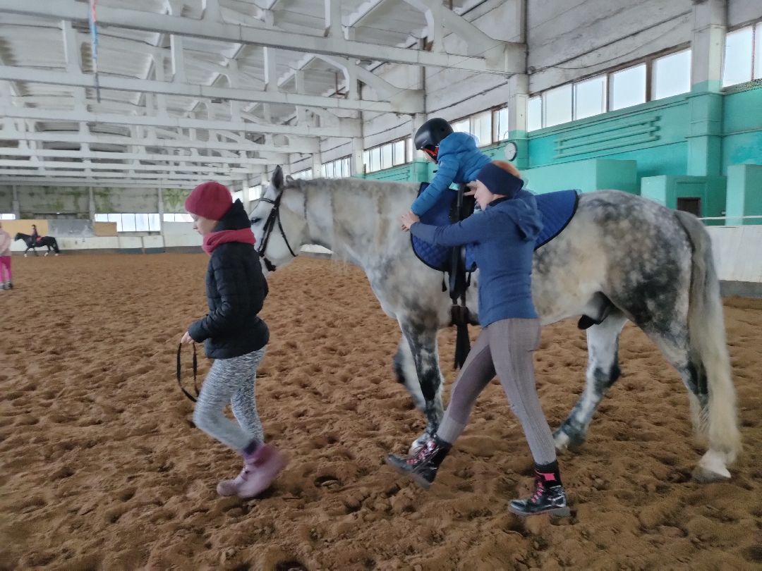 Раменское, общество