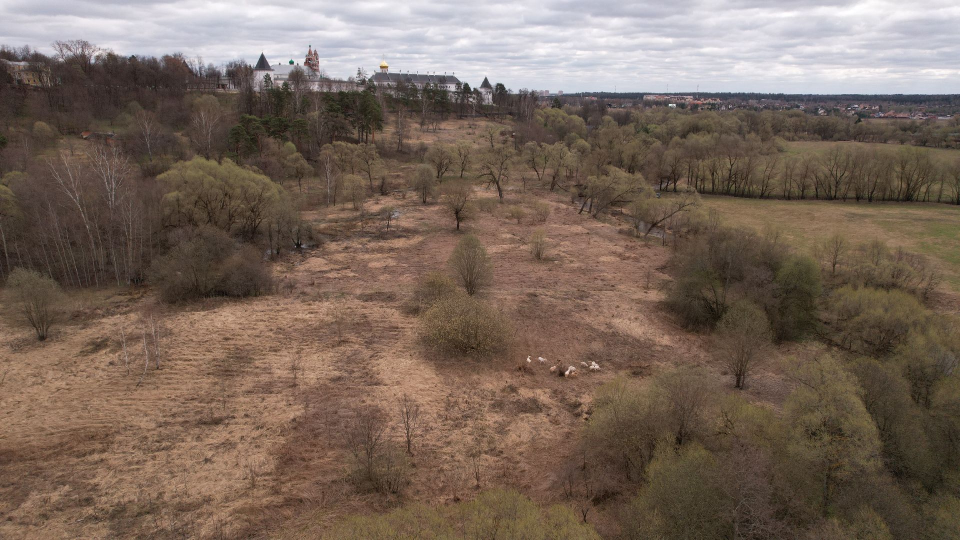 видео с коптера, саввинская слобода, село,