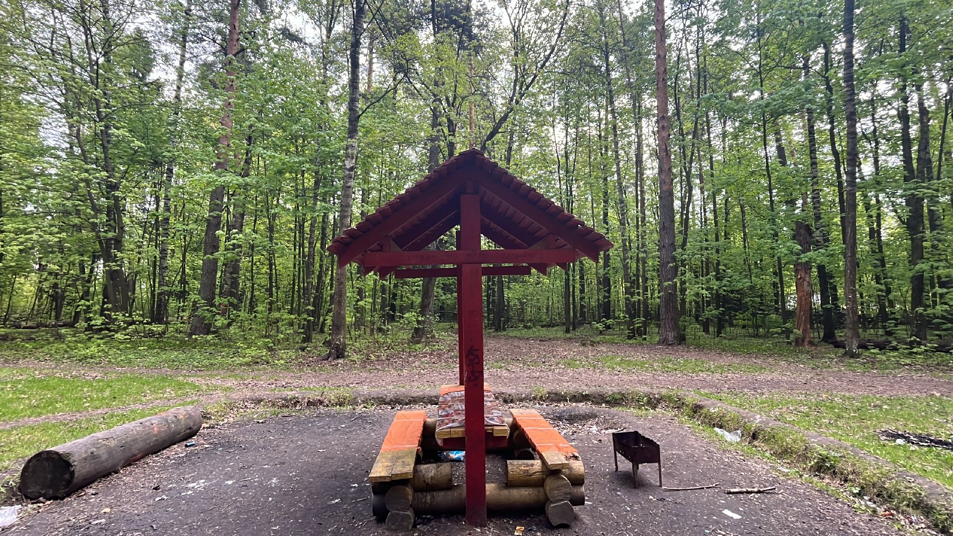 лес, шашлык, шашлыки, шашлык в лесу,