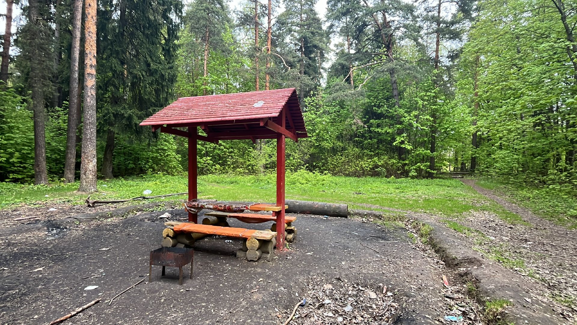 лес, шашлык, шашлыки, шашлык в лесу,