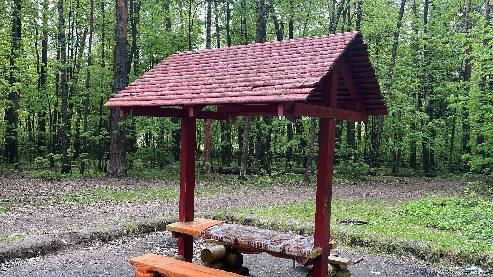 лес, шашлык, шашлыки, шашлык в лесу,