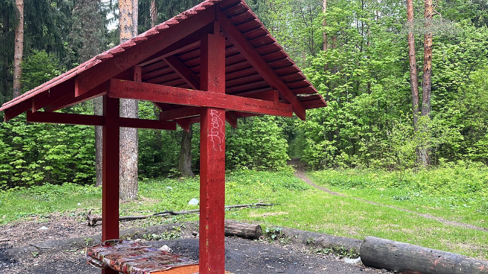 лес, шашлык, шашлыки, шашлык в лесу,