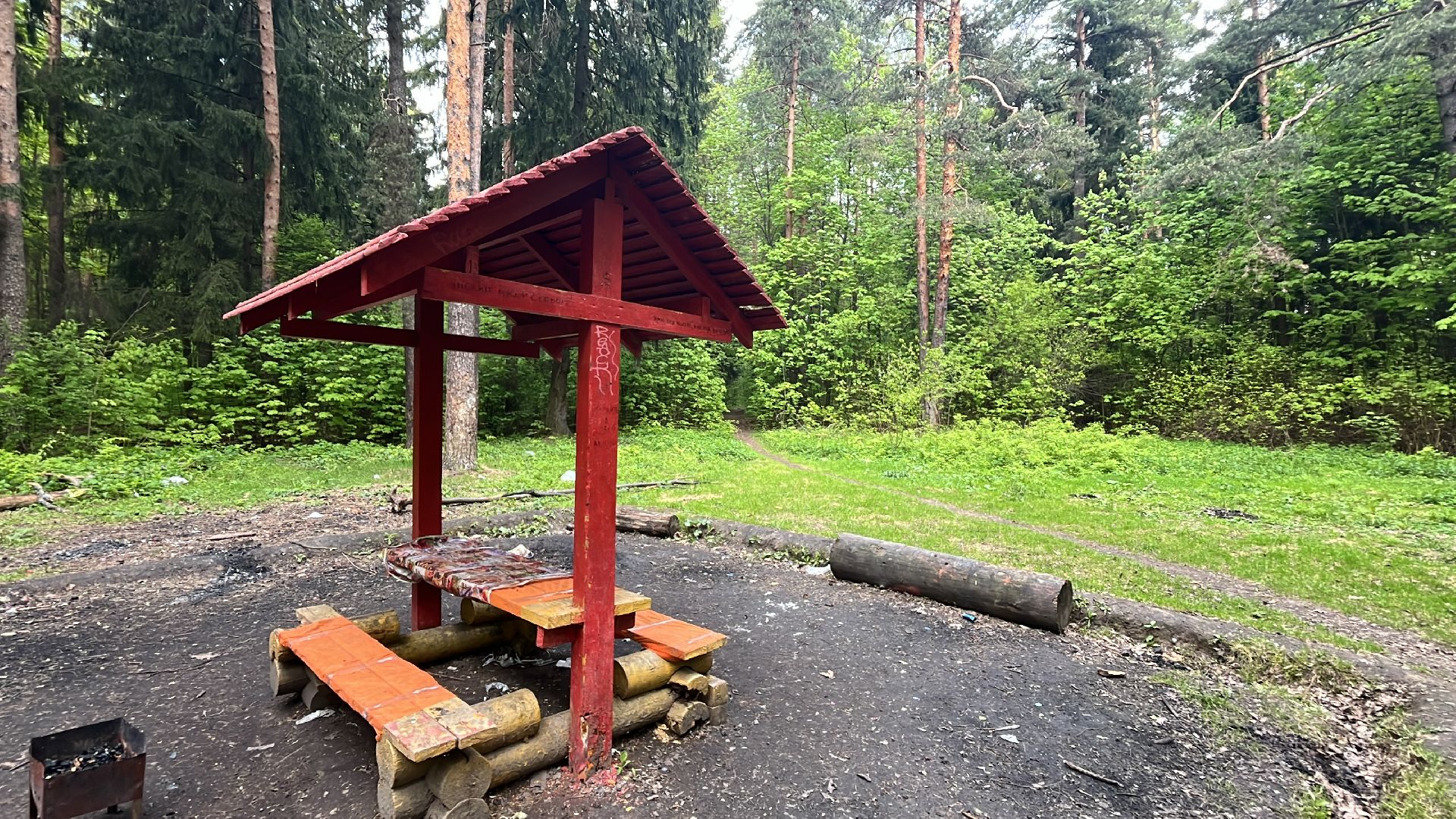 лес, шашлык, шашлыки, шашлык в лесу,