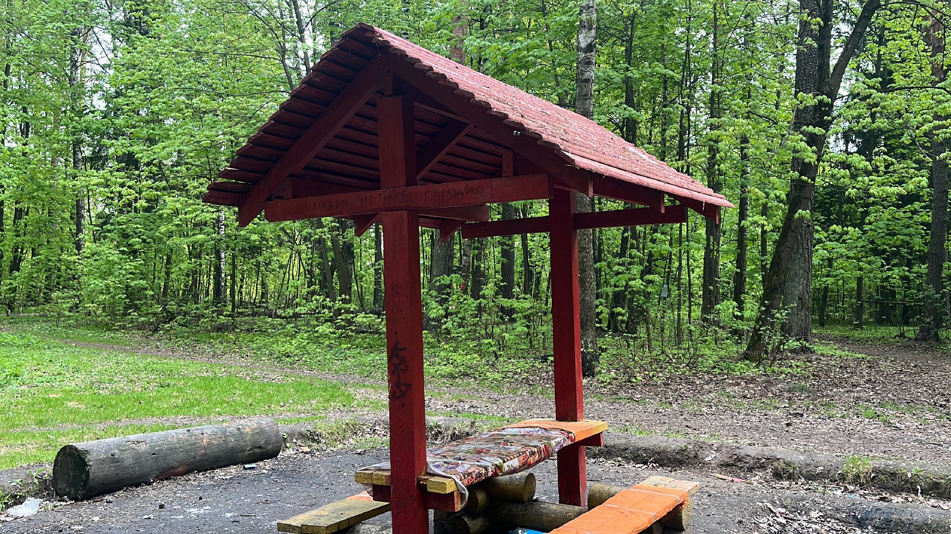 лес, шашлык, шашлыки, шашлык в лесу,