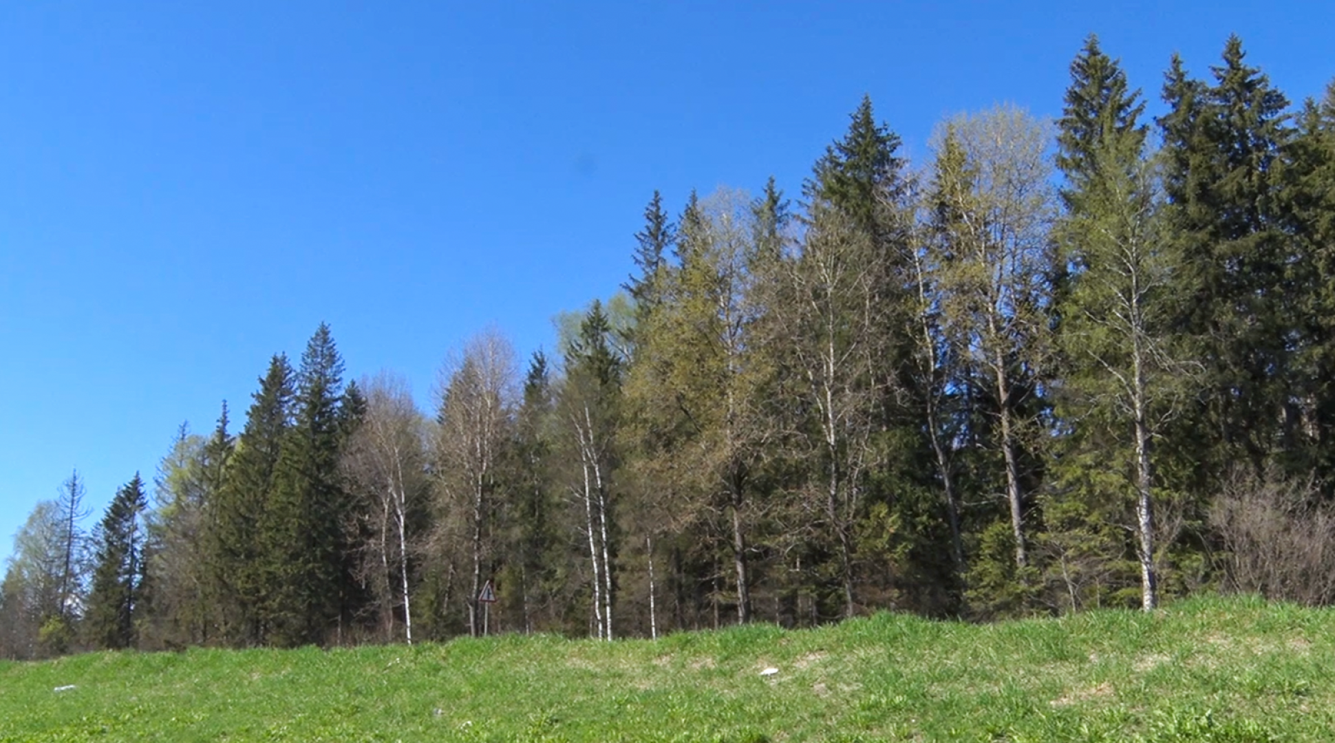 Клин, общество, безопасность, леса, пожары,