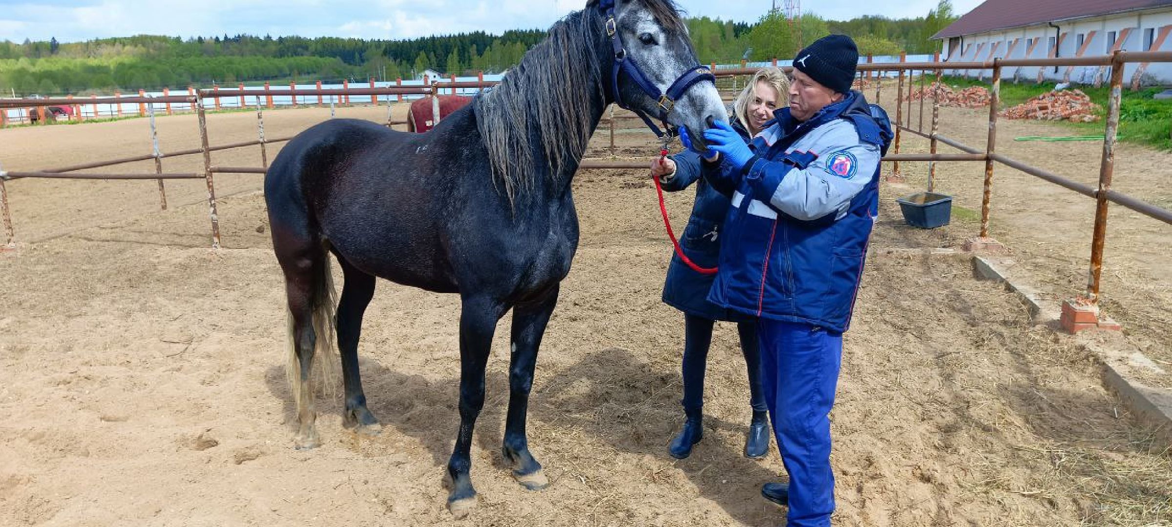 Дмитров, Дмитровская государственная ветеринарная станция,
