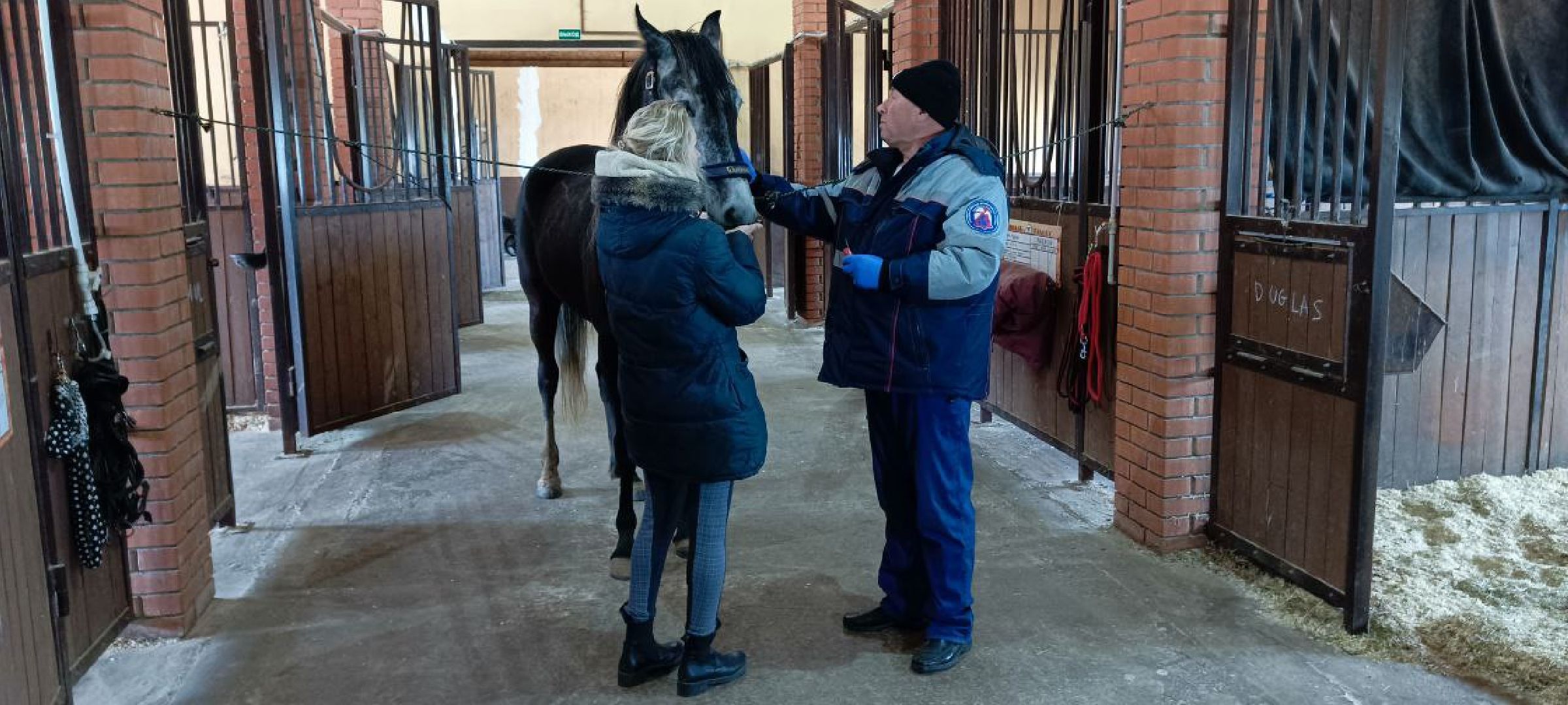Дмитров, Дмитровская государственная ветеринарная станция,