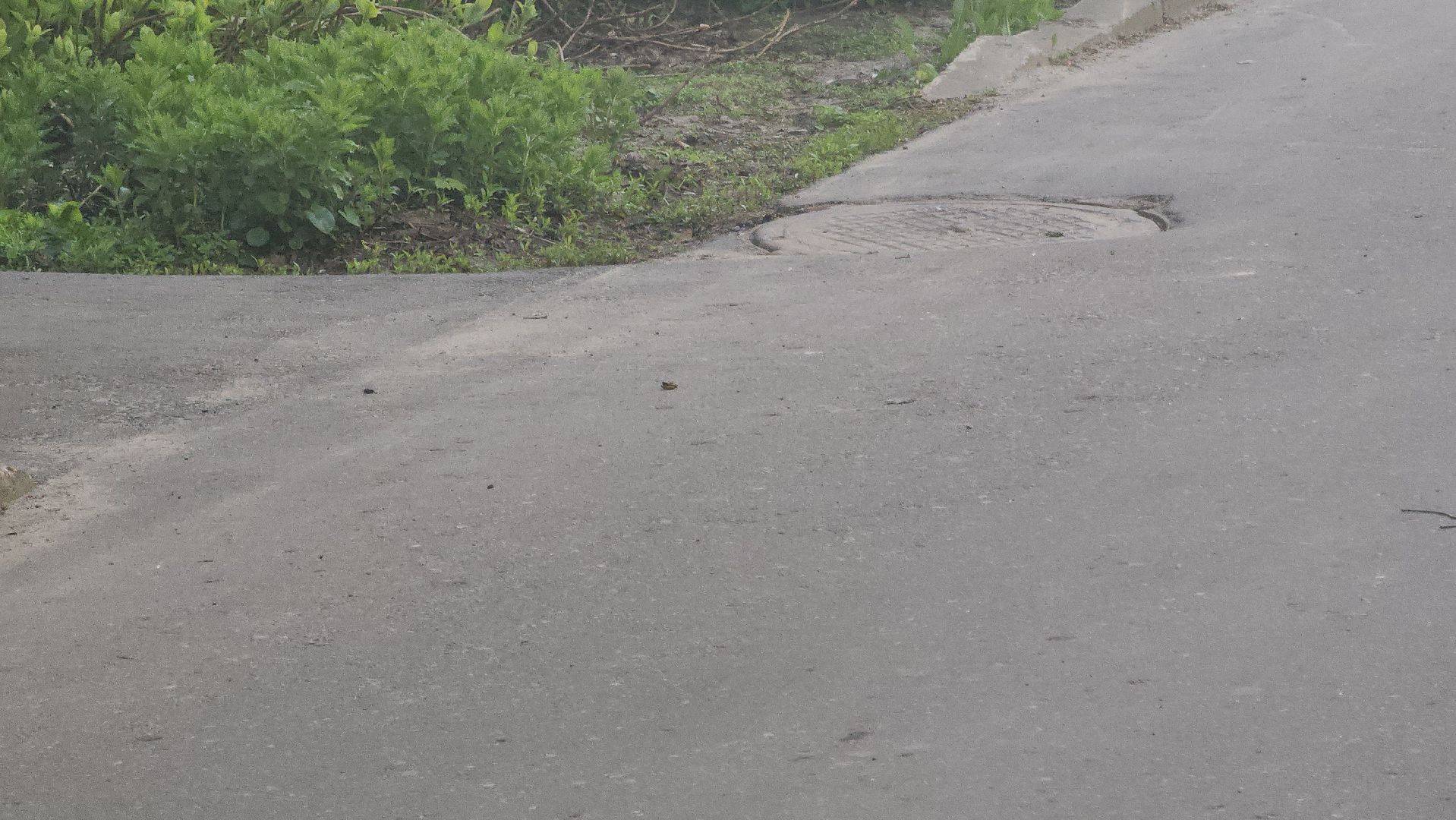 Павловский Посад, городской округ павловский посад, жители,Благоустройство, Строительство, Двор,