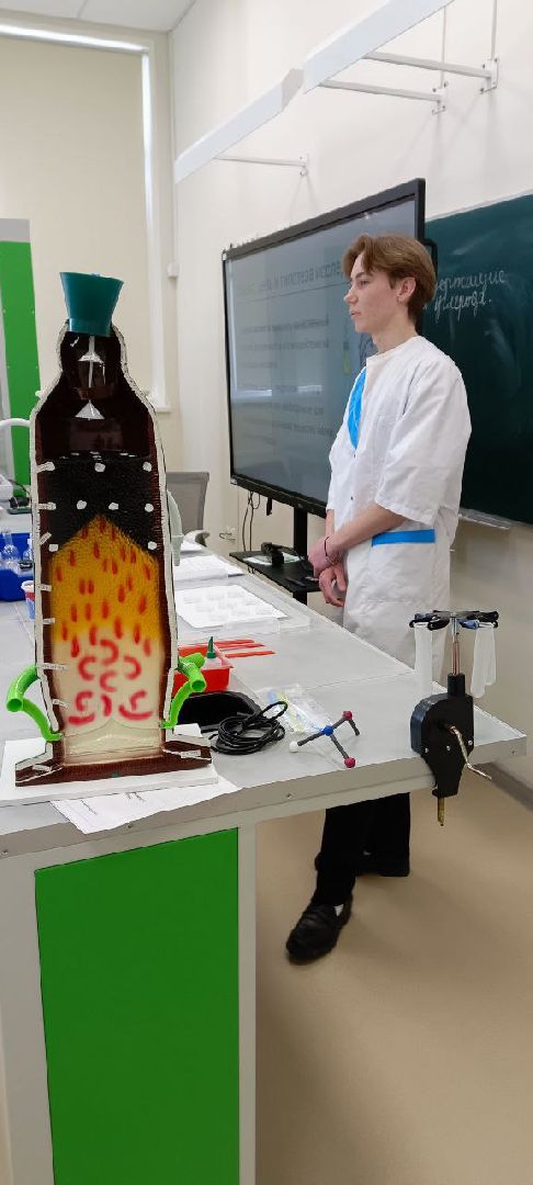 Дмитров, Совет старейшин, Останкинская школа,