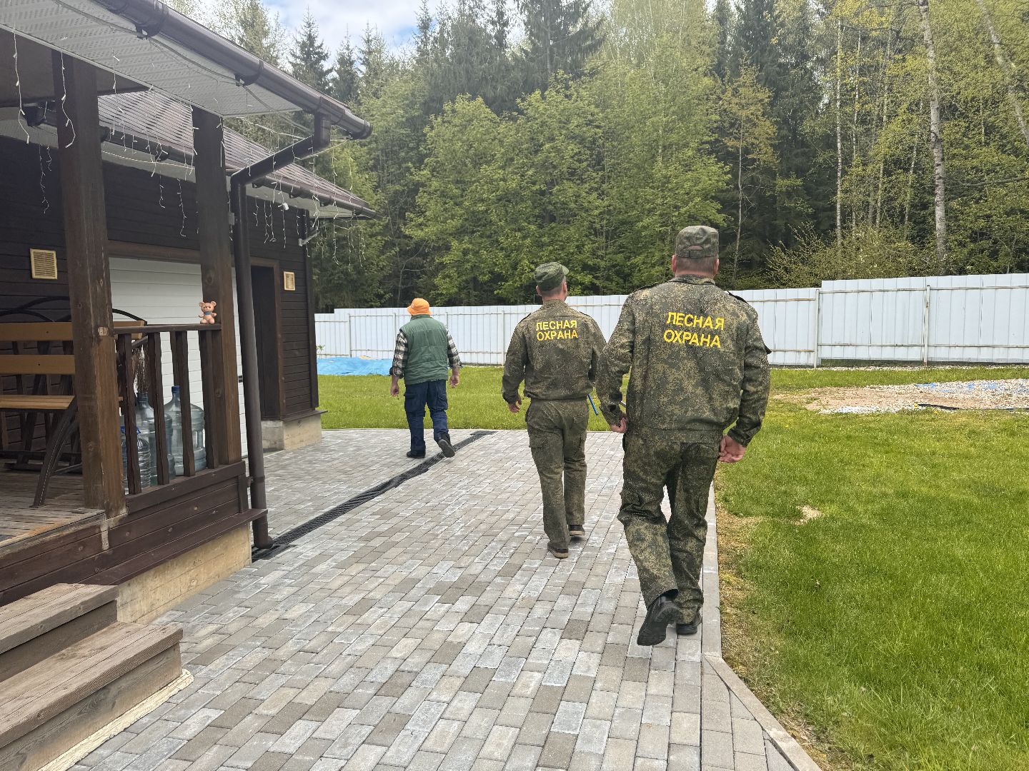 шаховская, лесничество, аварийные деревья,