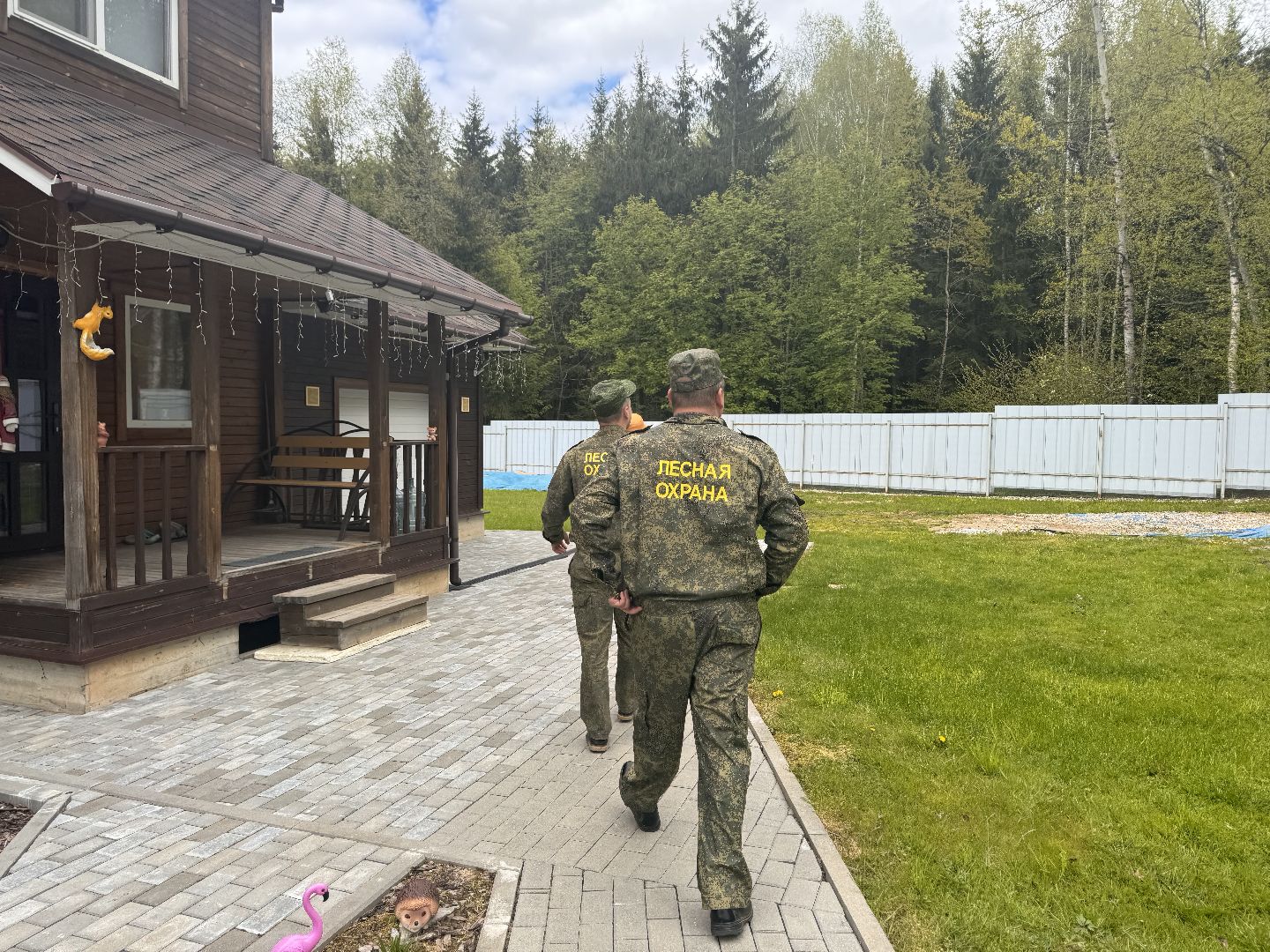 шаховская, лесничество, аварийные деревья,