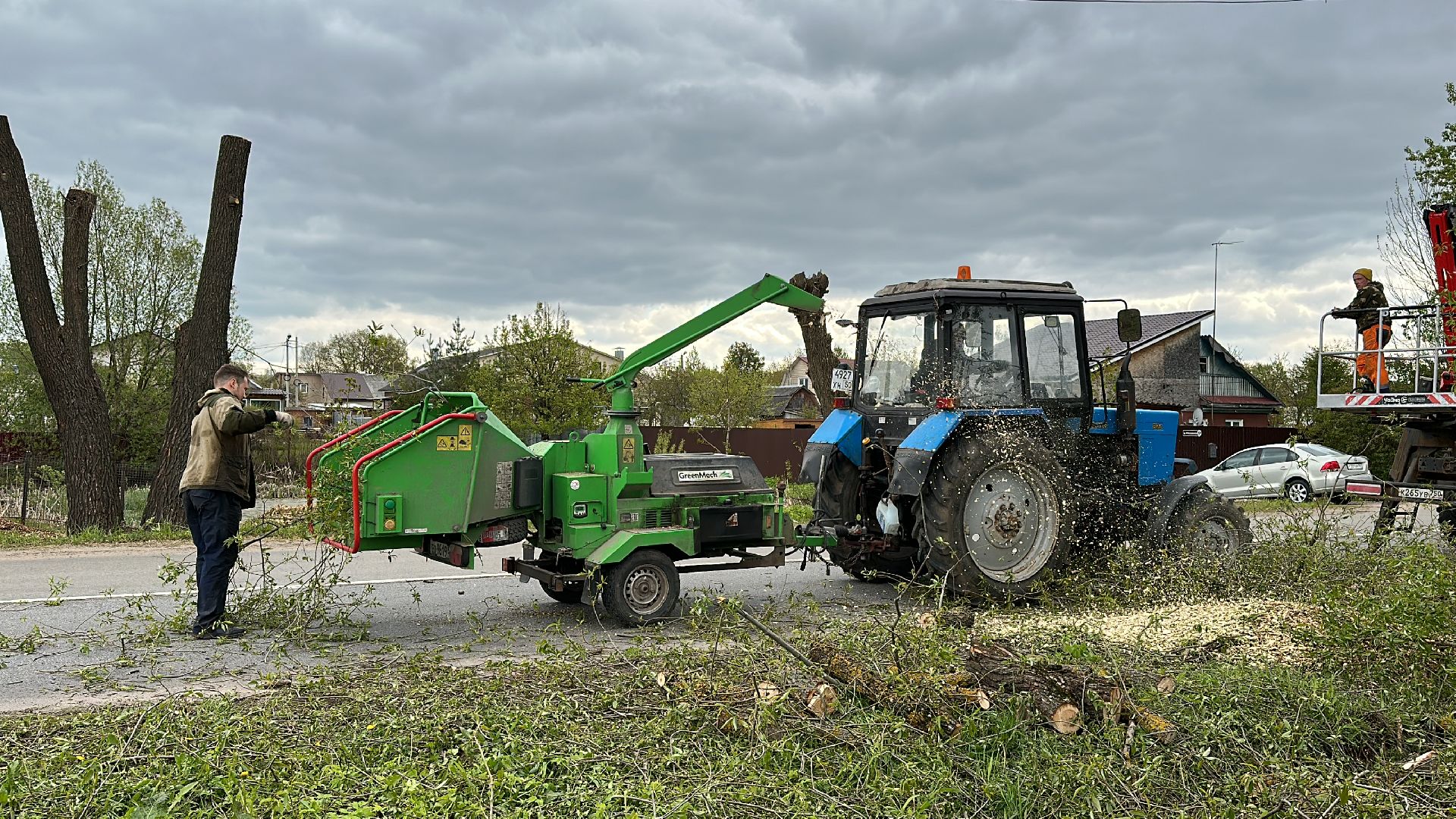Клин, общество, ЖКХ, аварийные деревья,