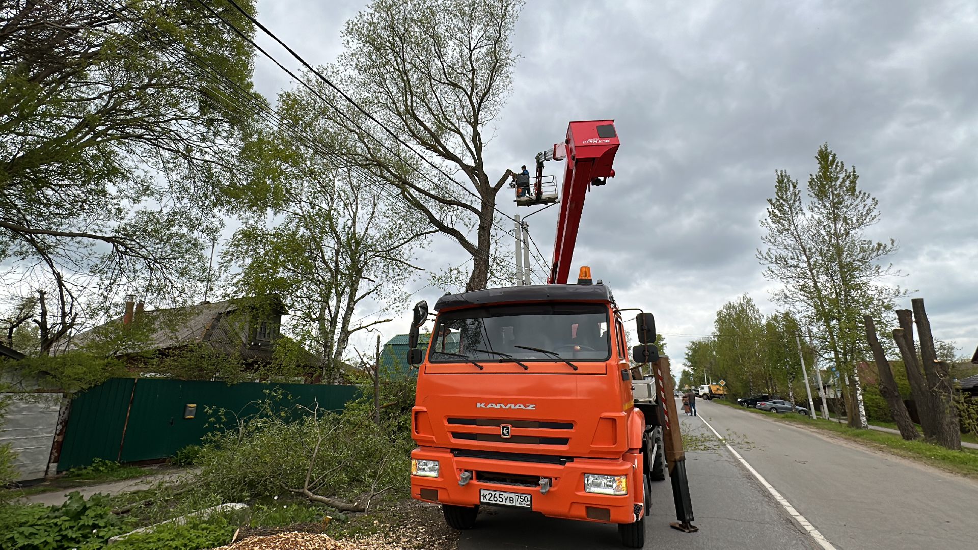 Клин, общество, ЖКХ, аварийные деревья,