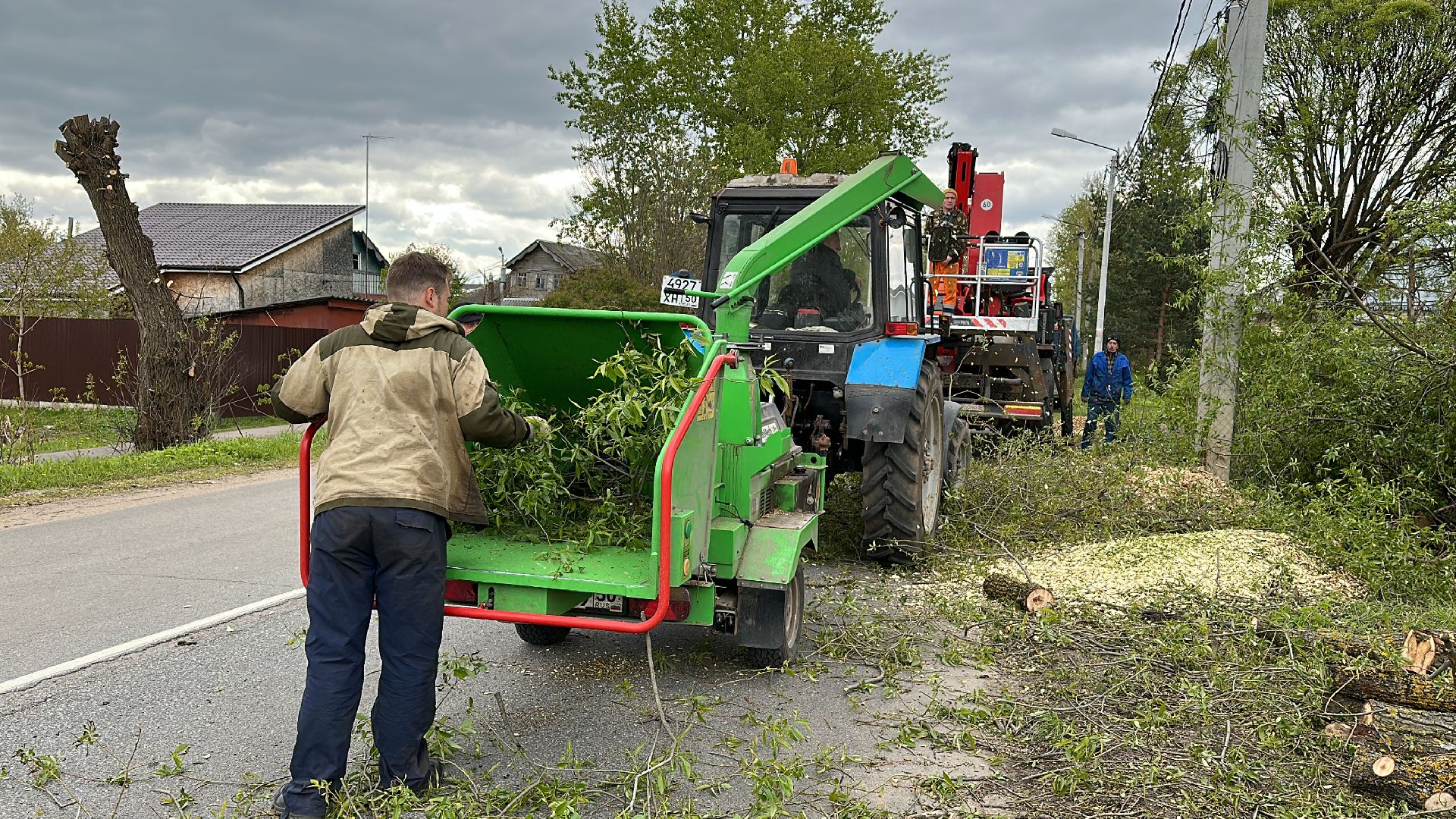 Клин, общество, ЖКХ, аварийные деревья,