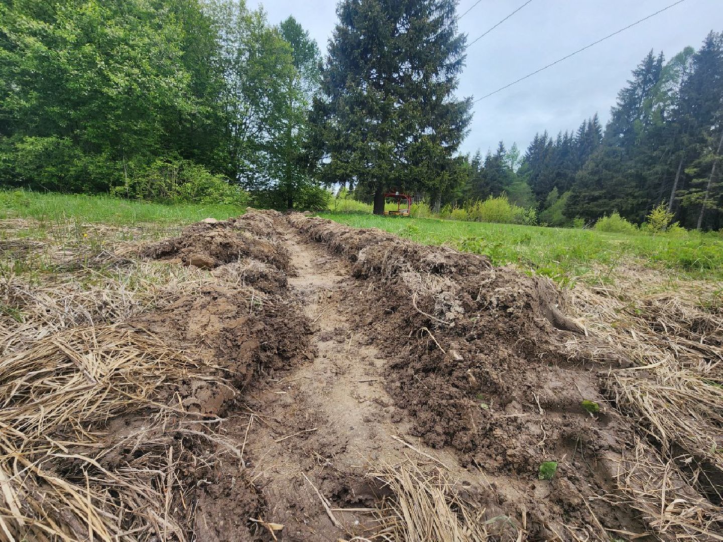 можайск, можайский городской округ, подмосковье, безопасность, минерализованные полосы, лес, лесное хозяйство, пожароопасный сезон,