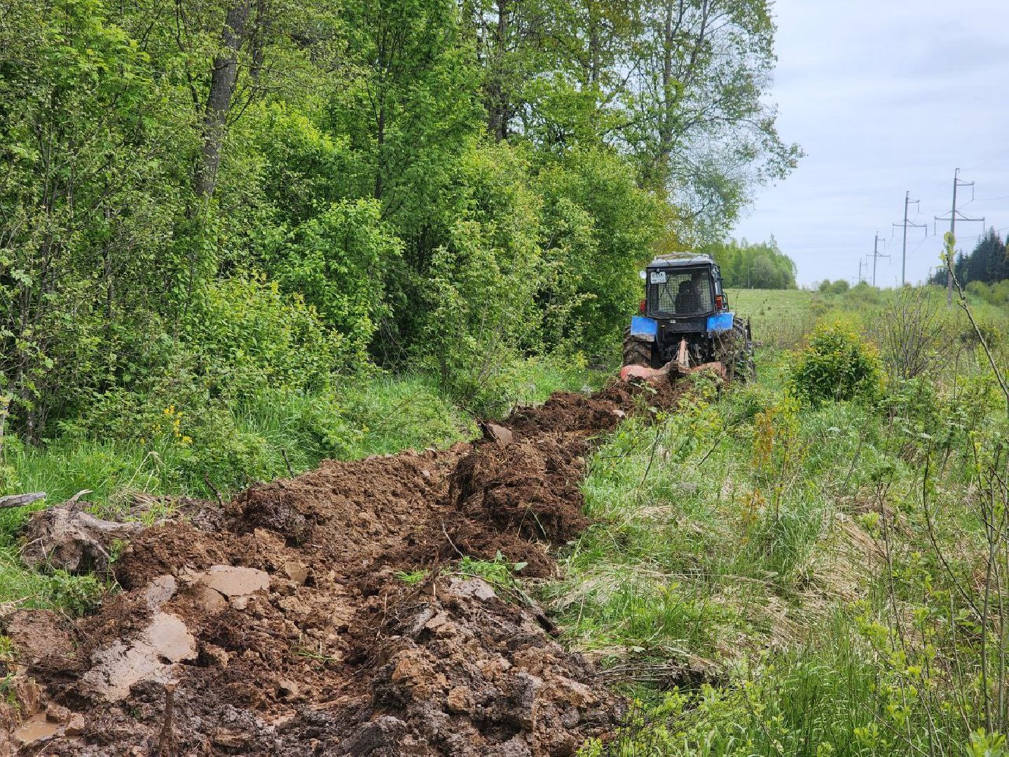 можайск, можайский городской округ, подмосковье, безопасность, минерализованные полосы, лес, лесное хозяйство, пожароопасный сезон,
