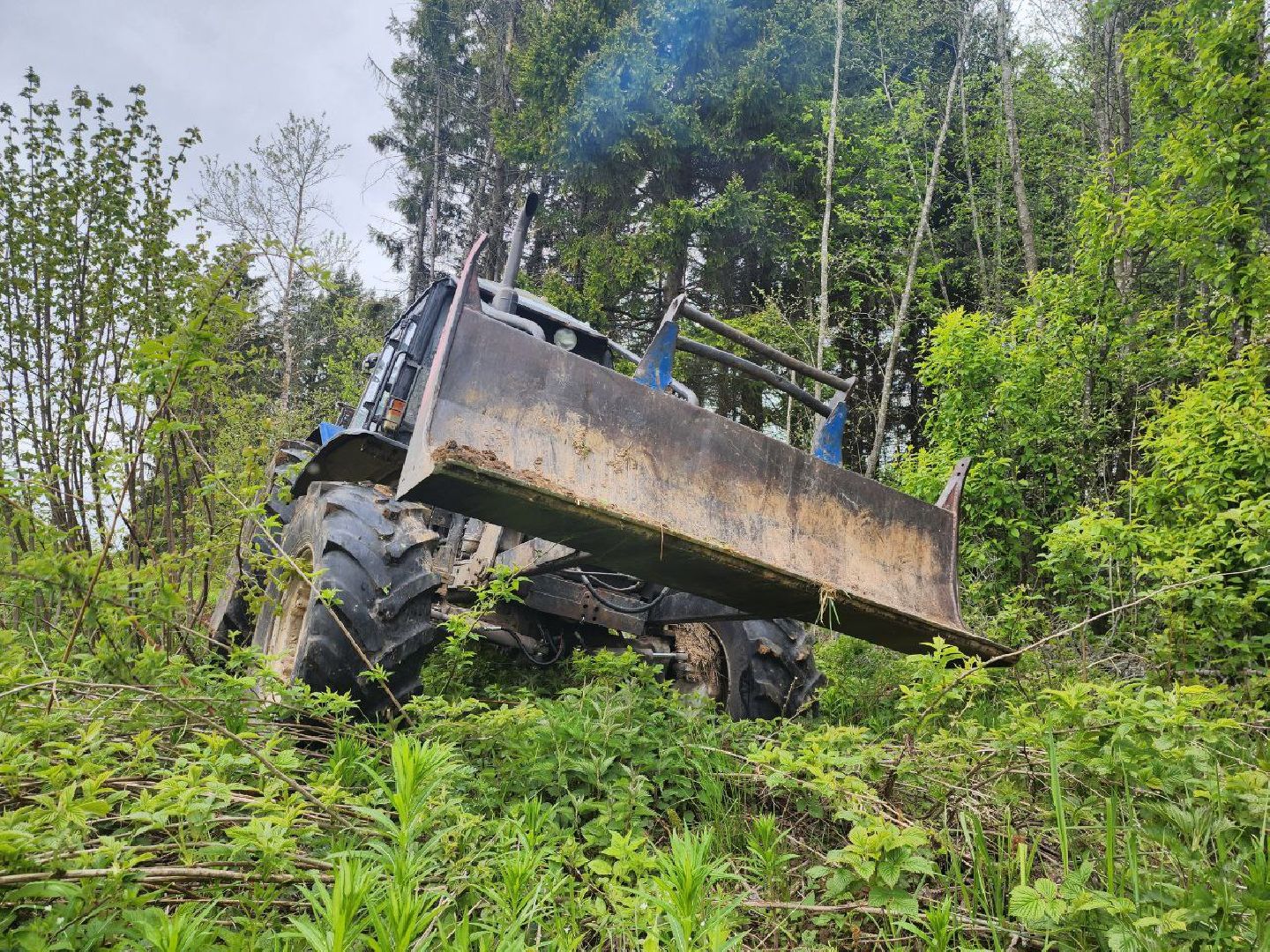 можайск, можайский городской округ, подмосковье, безопасность, минерализованные полосы, лес, лесное хозяйство, пожароопасный сезон,