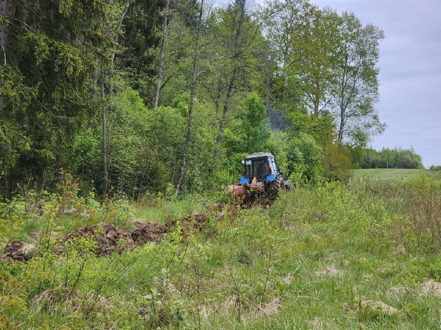 можайск, можайский городской округ, подмосковье, безопасность, минерализованные полосы, лес, лесное хозяйство, пожароопасный сезон,