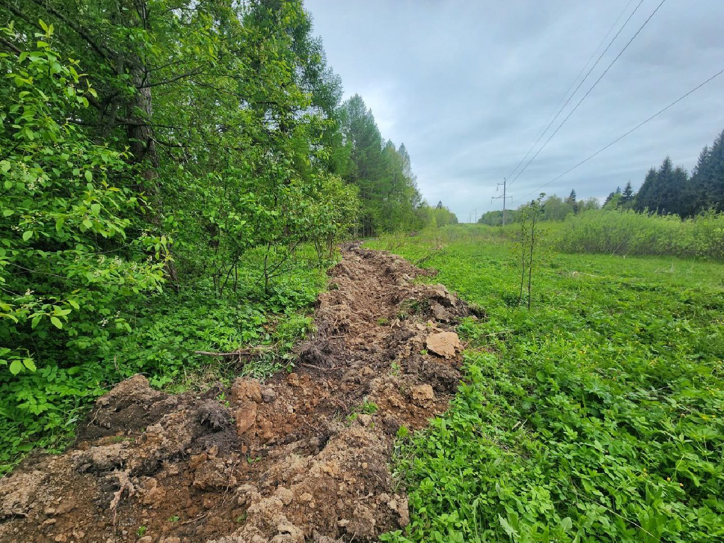 можайск, можайский городской округ, подмосковье, безопасность, минерализованные полосы, лес, лесное хозяйство, пожароопасный сезон,