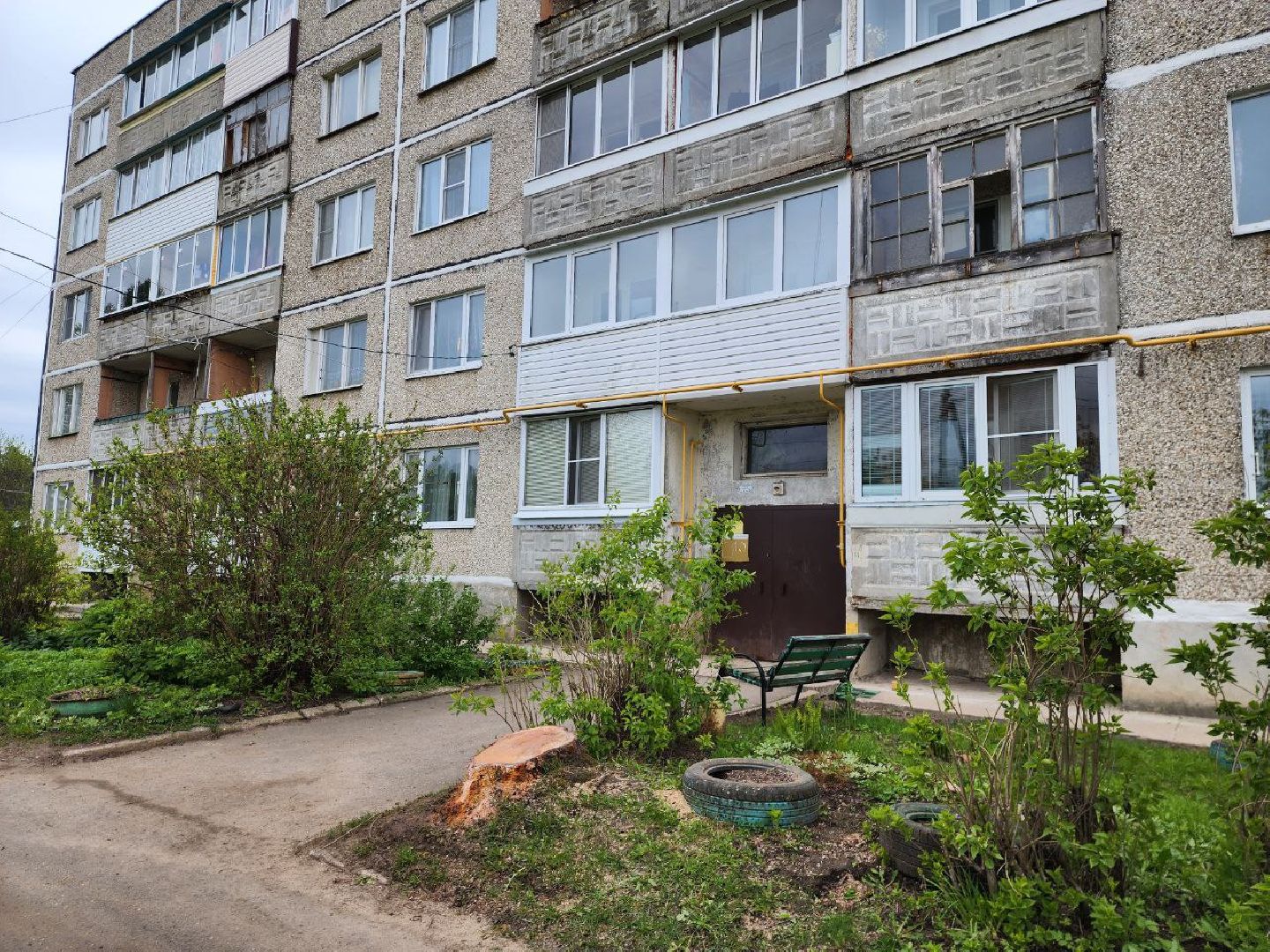 можайск, можайский городской округ, подмосковье, выездная администрация, власть, власти округа, просьбы жителей, благоустройство, спилили дерево,