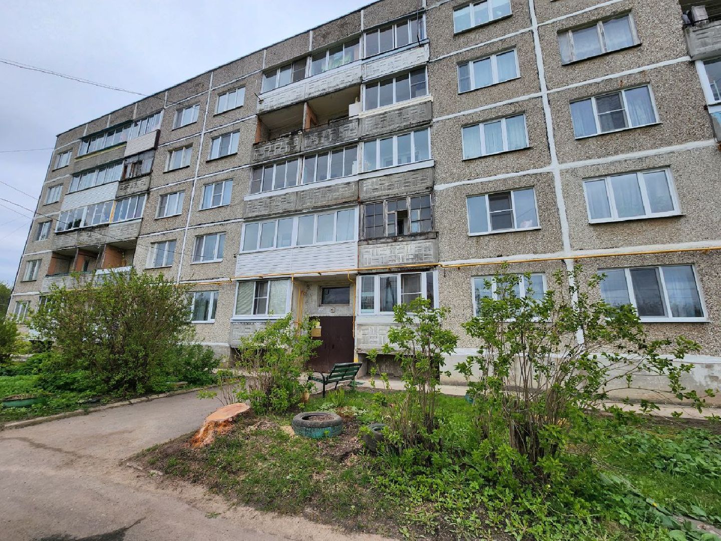 можайск, можайский городской округ, подмосковье, выездная администрация, власть, власти округа, просьбы жителей, благоустройство, спилили дерево,