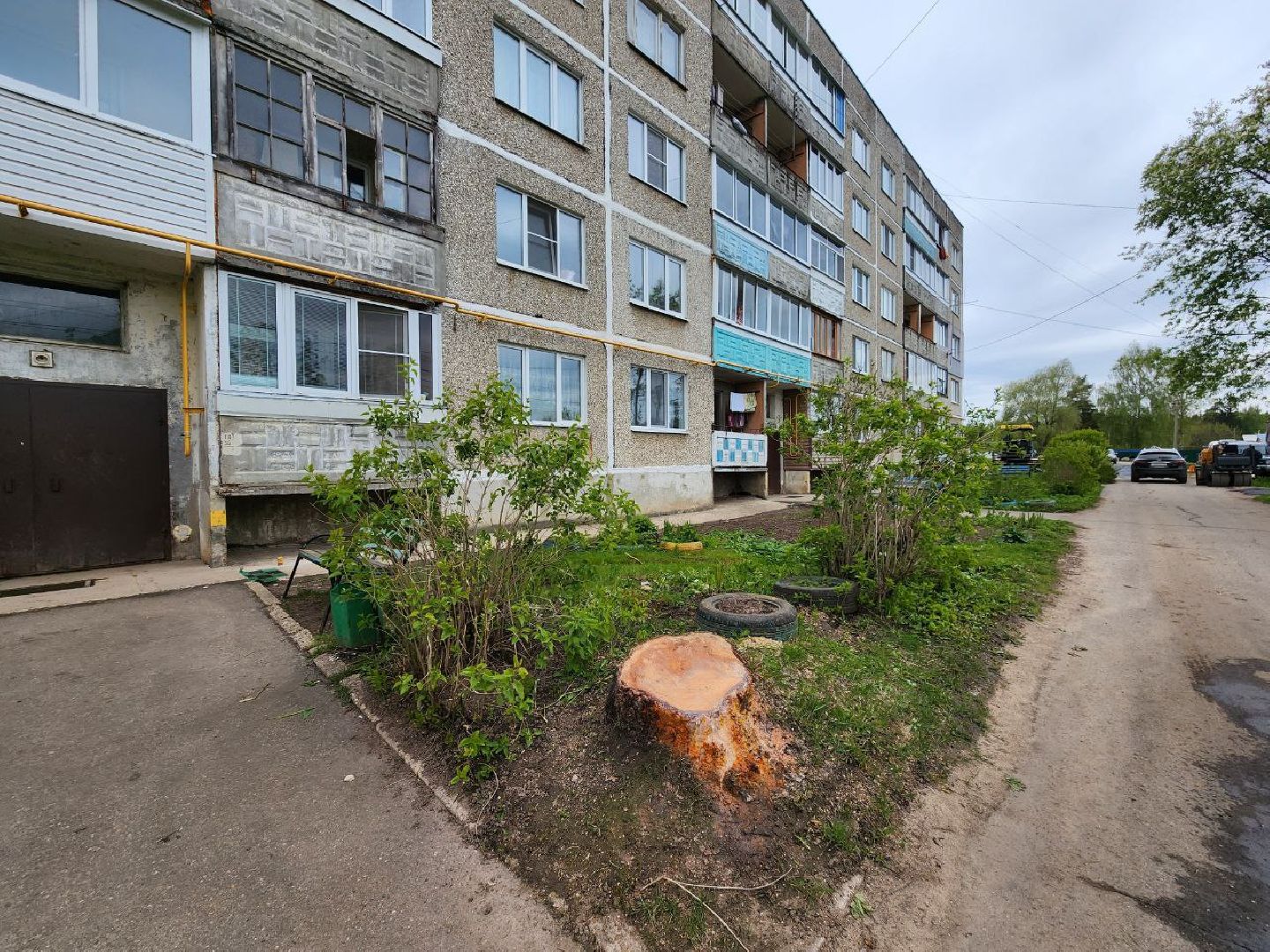 можайск, можайский городской округ, подмосковье, выездная администрация, власть, власти округа, просьбы жителей, благоустройство, спилили дерево,