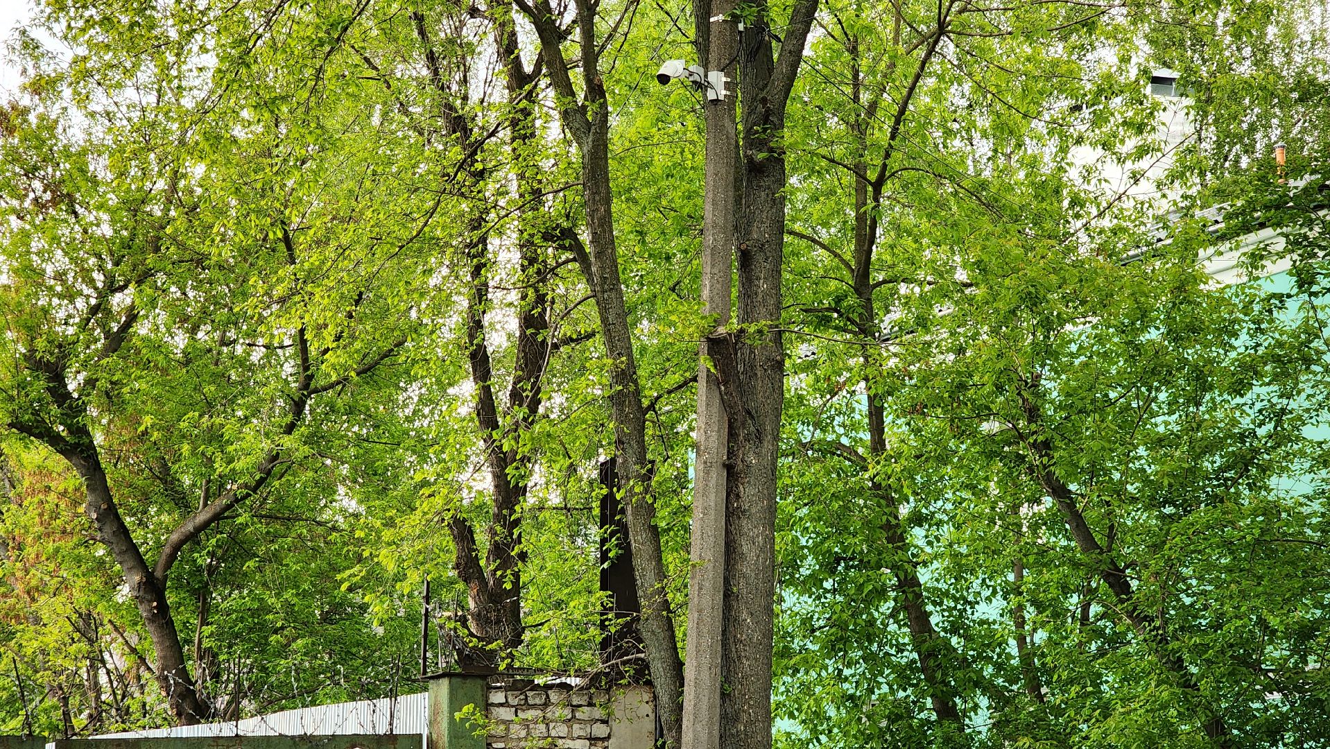 контейнерная площадка, реконструкция, вывоз мусора,