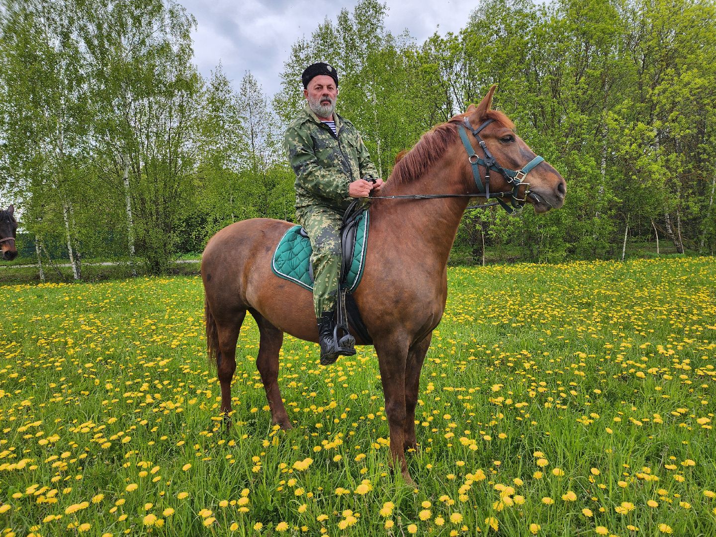 казаки, казачество, руза, рузский городской округ, подмосковье, безопасность, конный патруль,