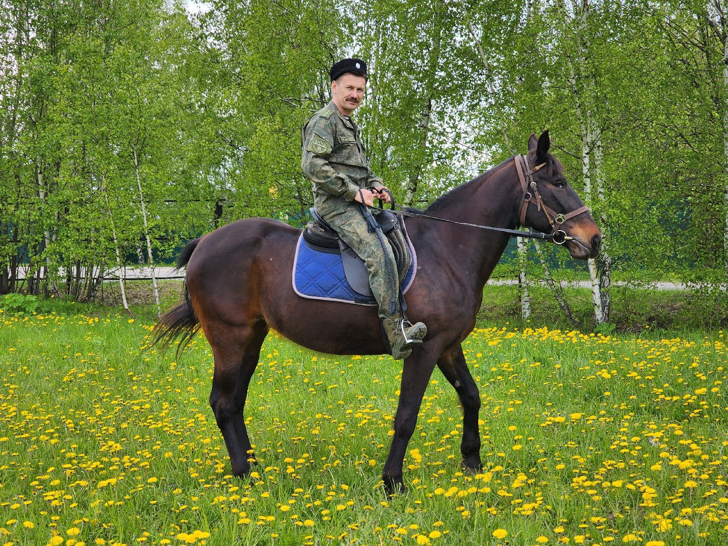 казаки, казачество, руза, рузский городской округ, подмосковье, безопасность, конный патруль,