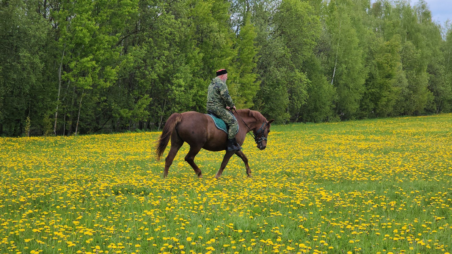 казаки, казачество, руза, рузский городской округ, подмосковье, безопасность, конный патруль,