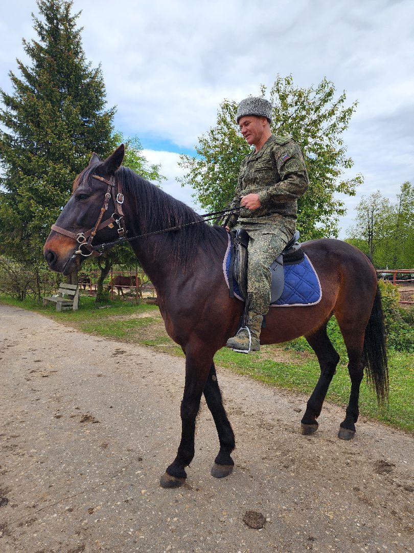 казаки, казачество, руза, рузский городской округ, подмосковье, безопасность, конный патруль,