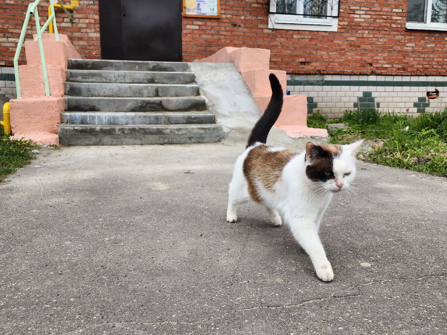 ремонт подъездов, орехово-зуевский округ,