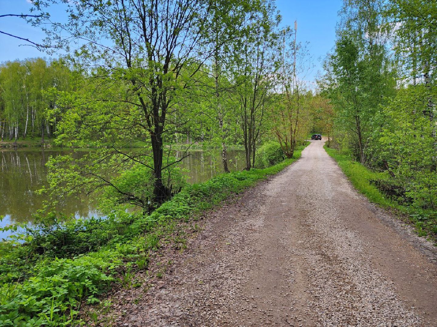 чехов, выездная администрация, жители, снт, дорога,