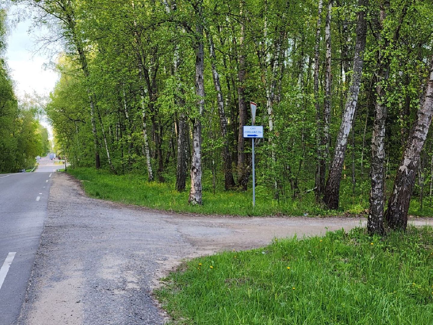 чехов, выездная администрация, жители, снт, дорога,