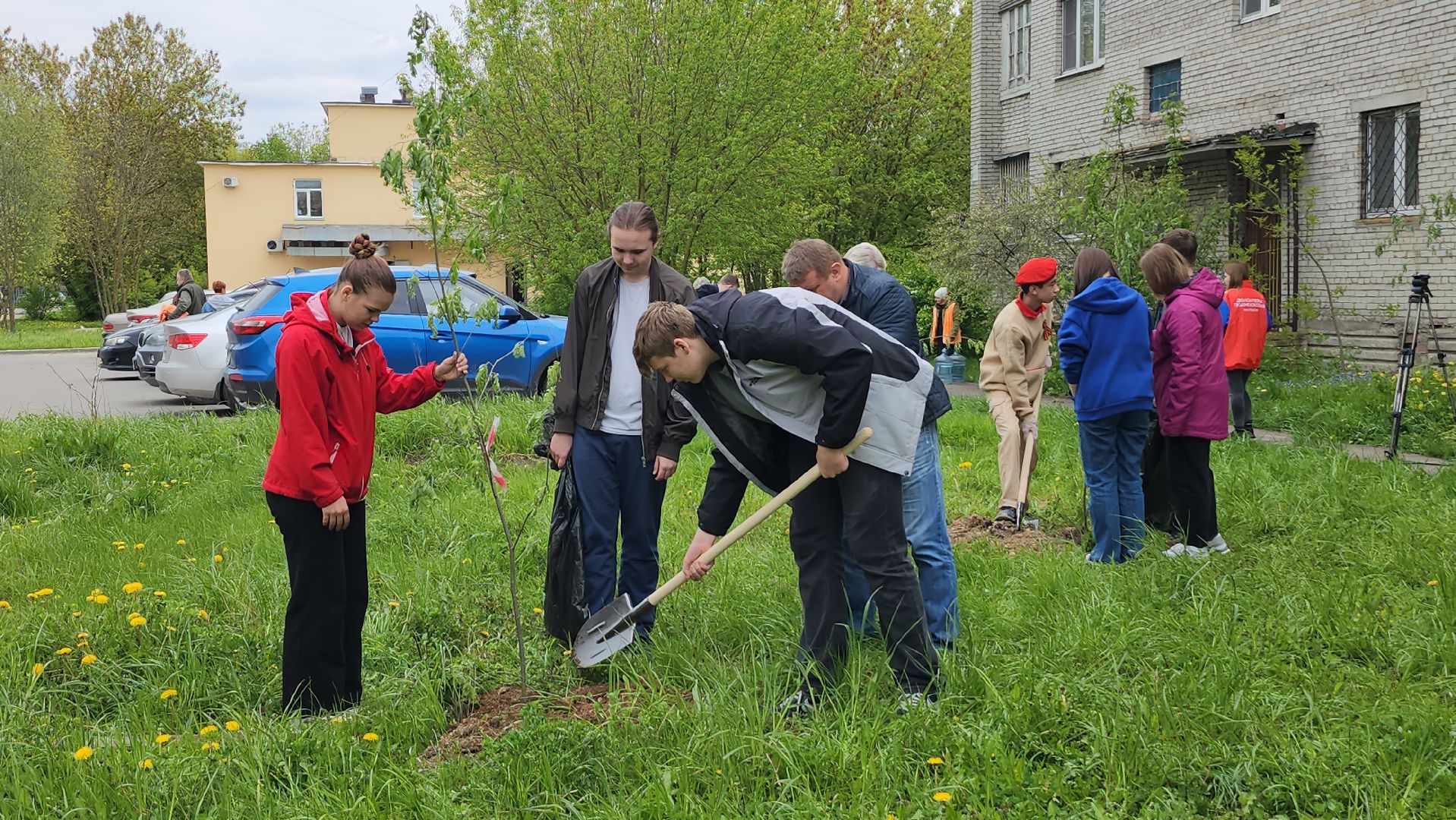 серпухов, поселок большевик, аллея памяти, день победы, юноармейцы, школьники, депутат-эколог,