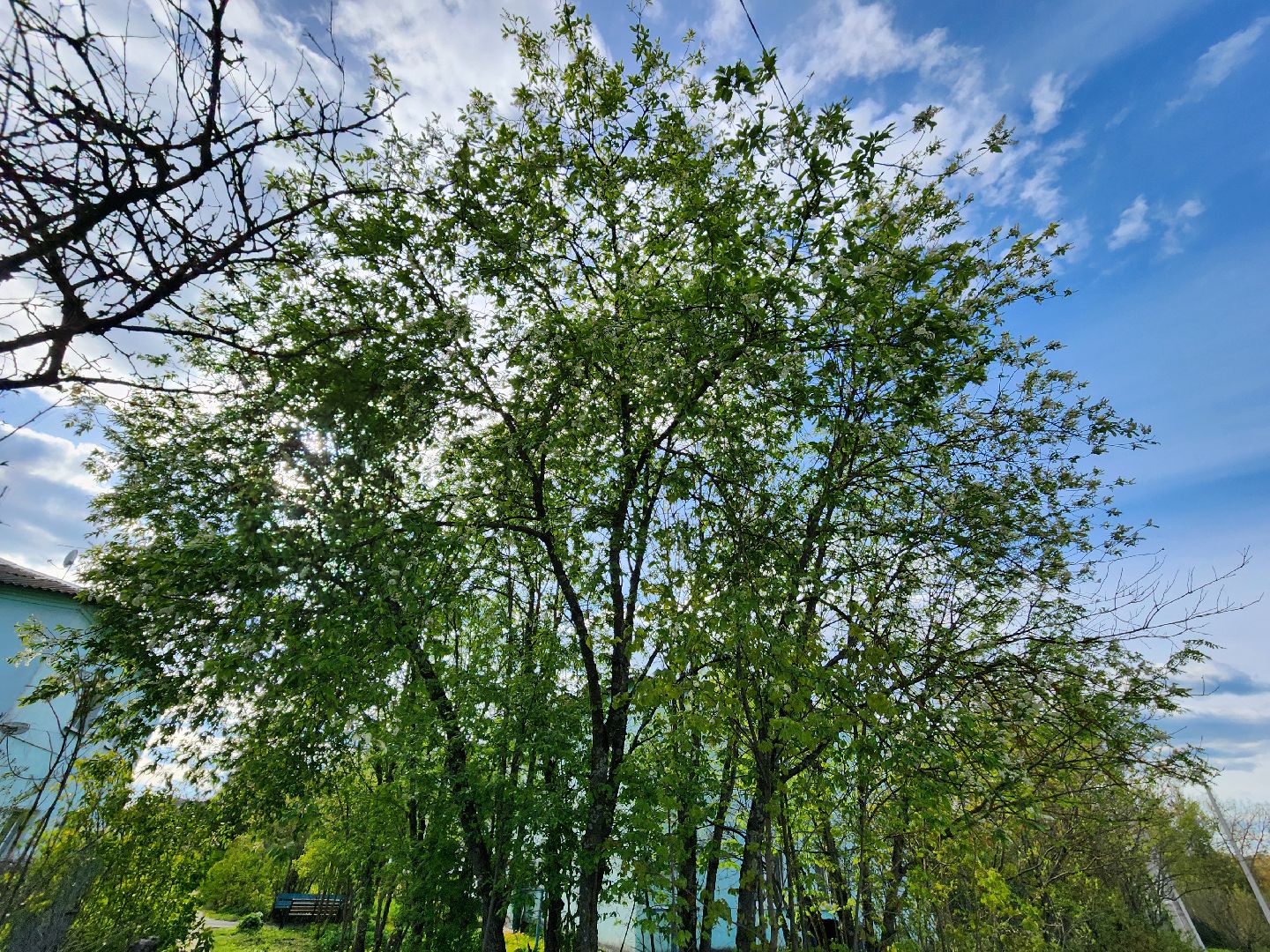 благоустройство, брикет, выездная администрация, дип, ремонт, ремонт дорог, ямочный ремонт, руза,