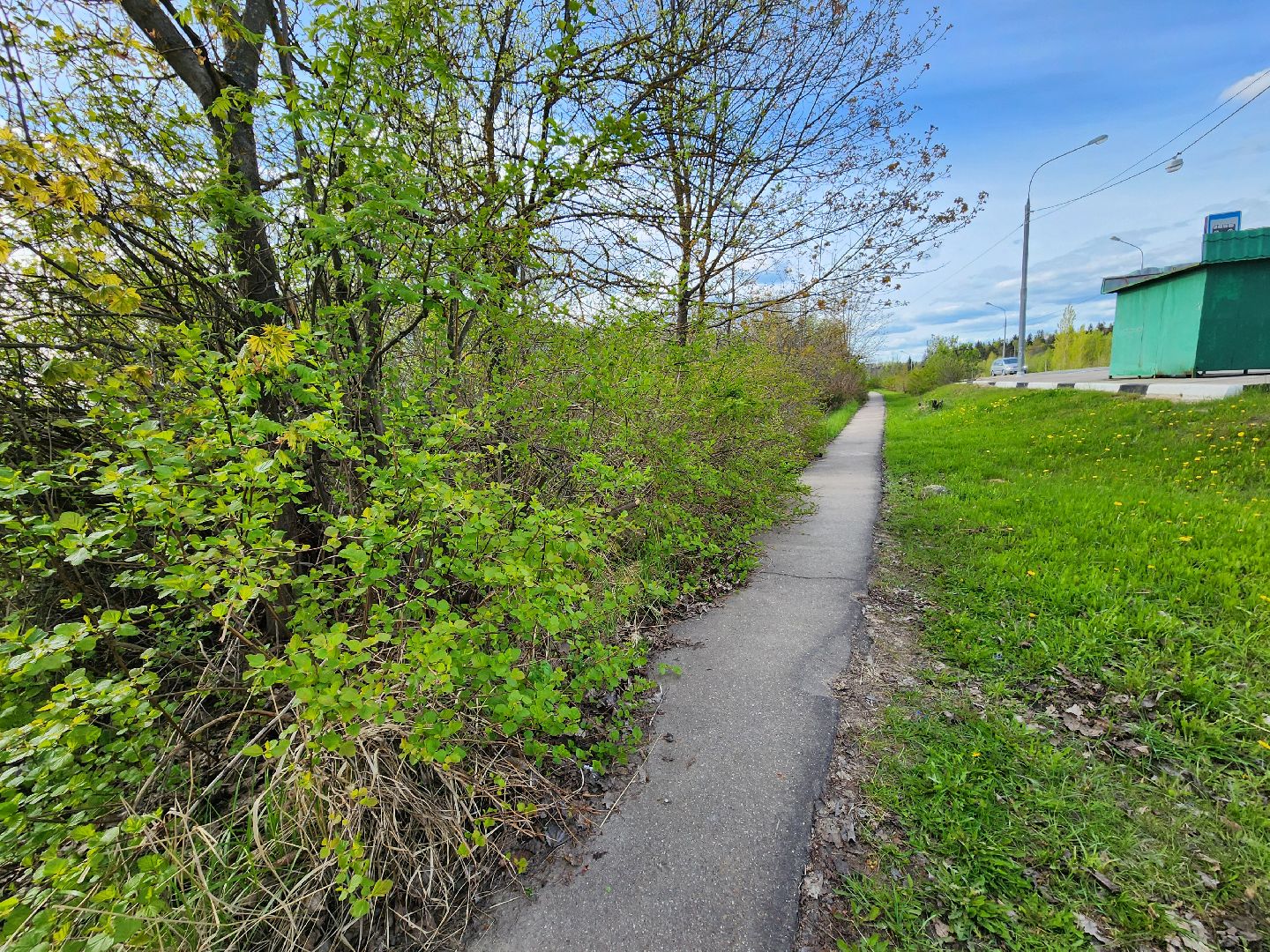 благоустройство, брикет, выездная администрация, дип, ремонт, ремонт дорог, ямочный ремонт, руза,