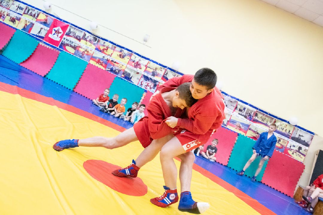 лыткарино, самбисты, днр