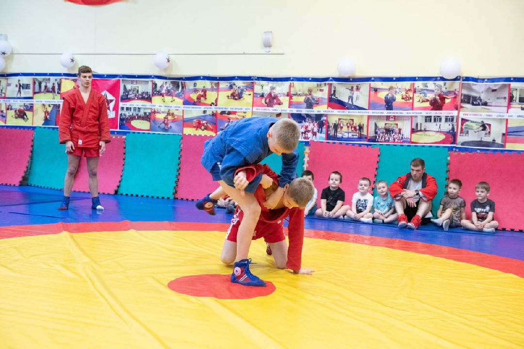 лыткарино, самбисты, днр