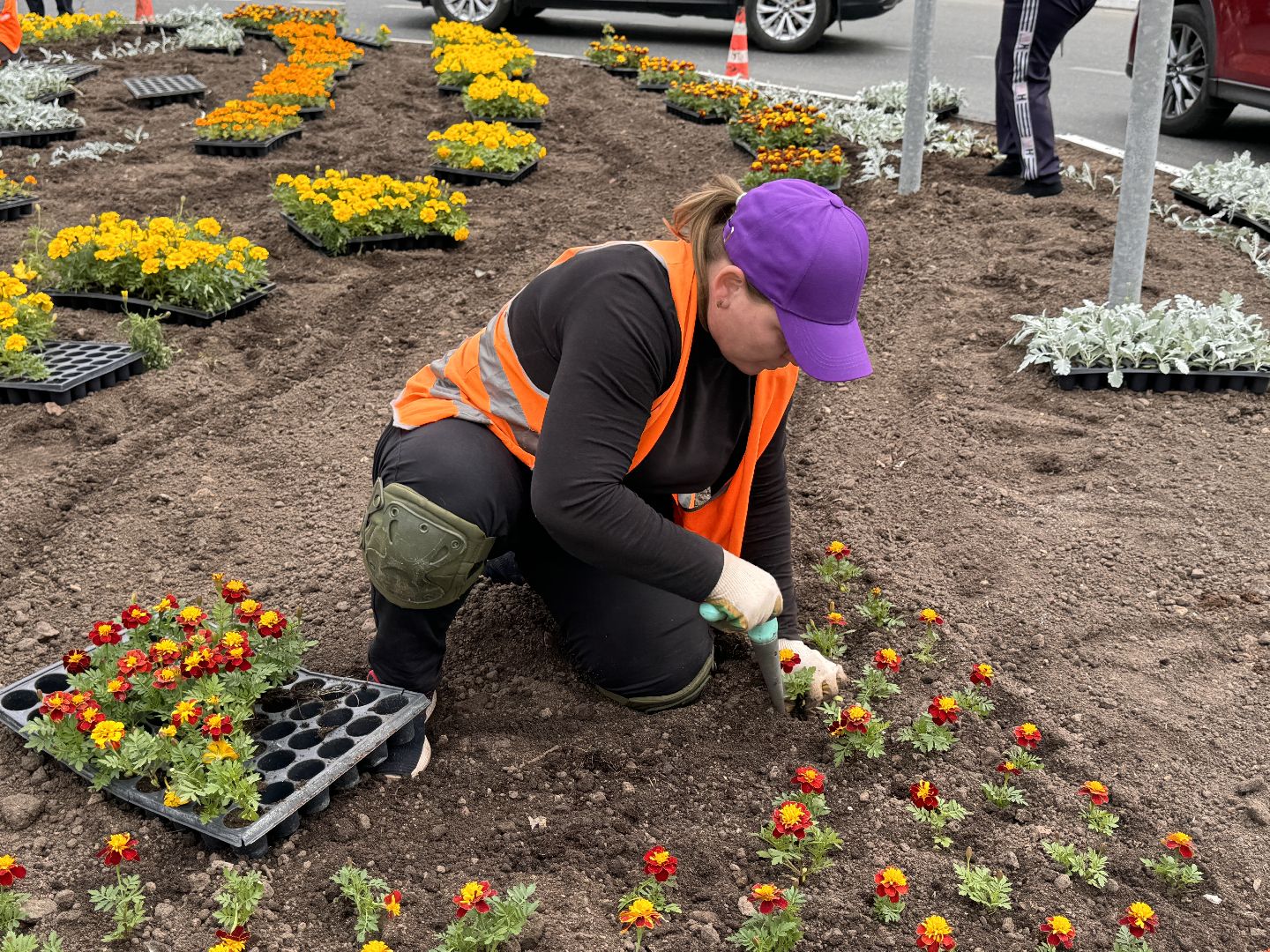 Одинцово, Цветы, Озеленение, Благоустройство,