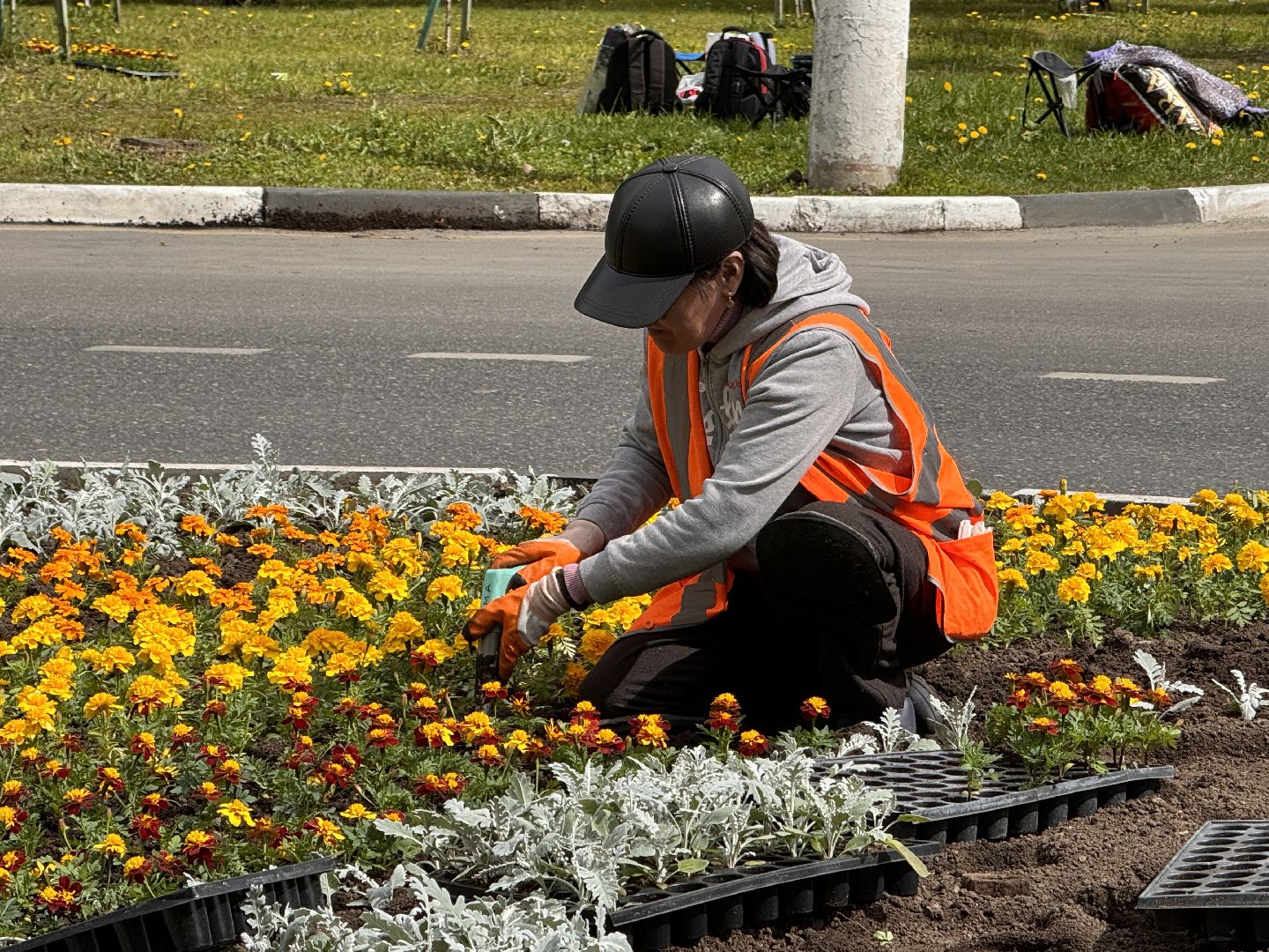 Одинцово, Цветы, Озеленение, Благоустройство,