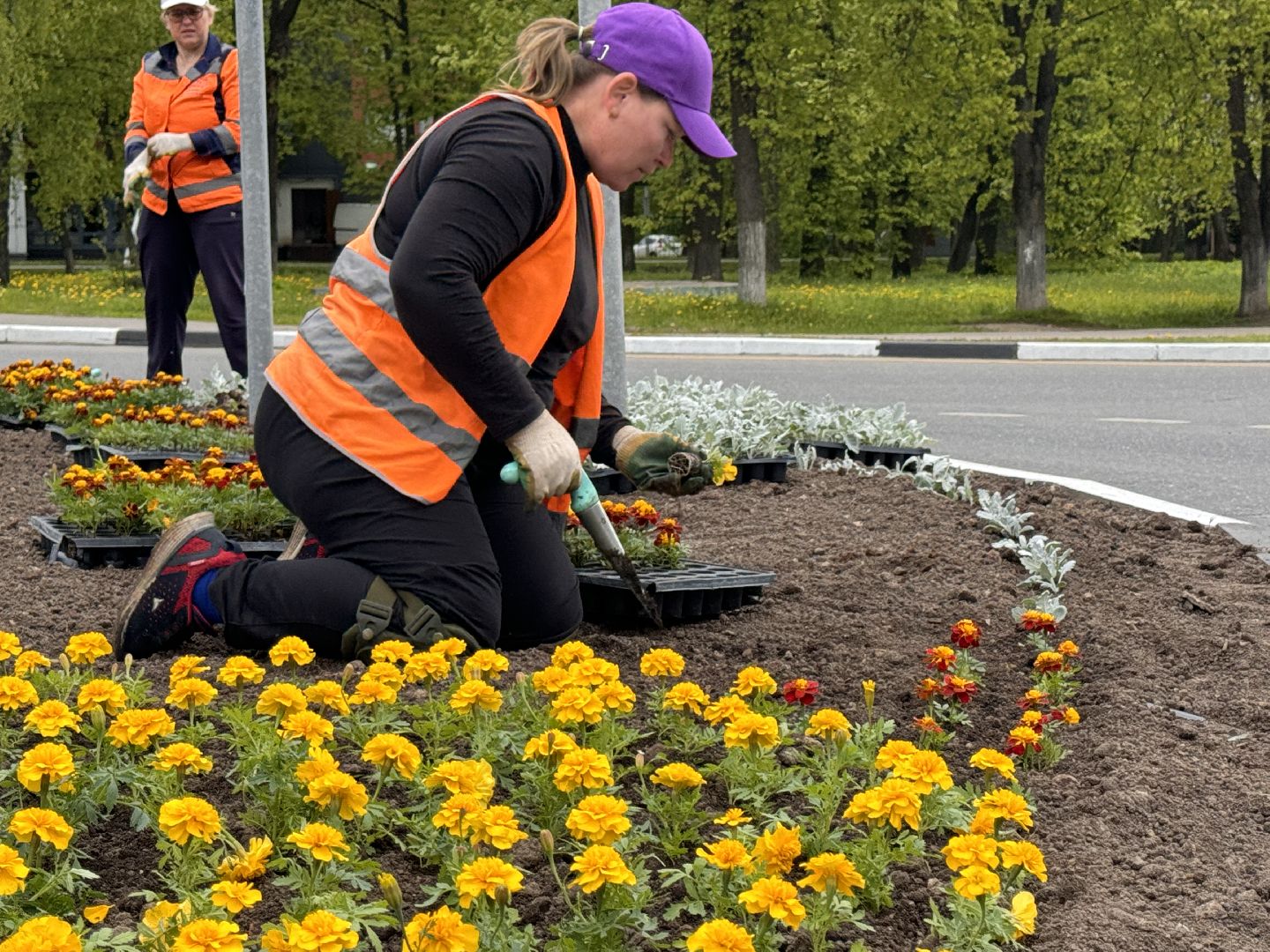 Одинцово, Цветы, Озеленение, Благоустройство,