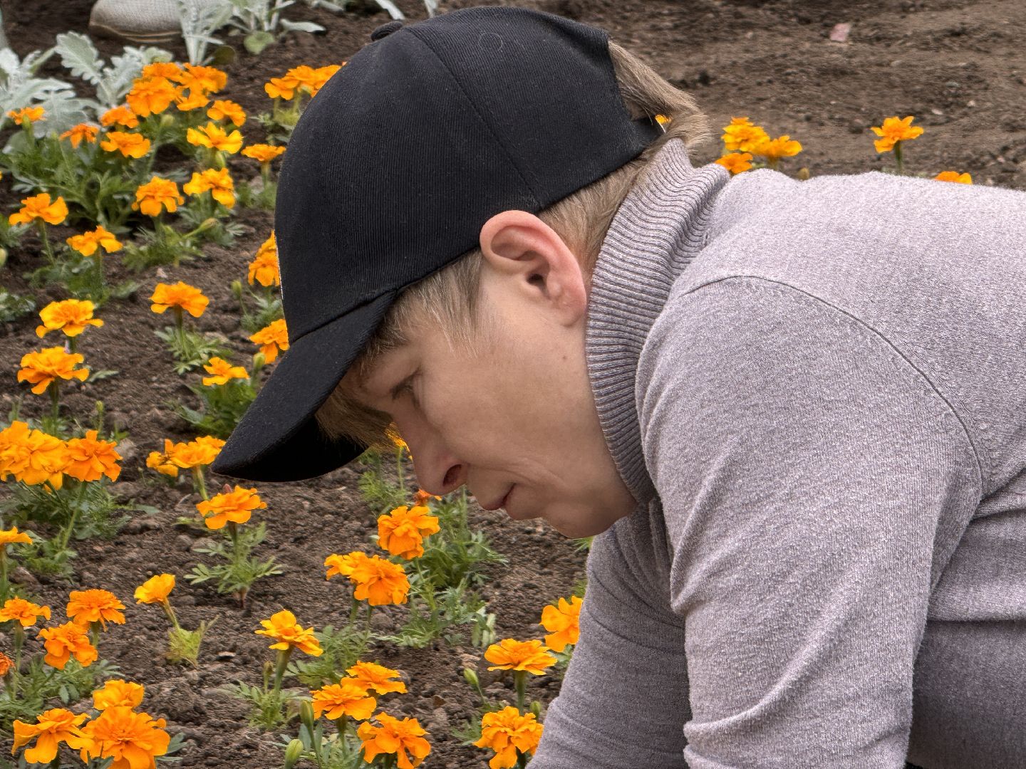 Одинцово, Цветы, Озеленение, Благоустройство,